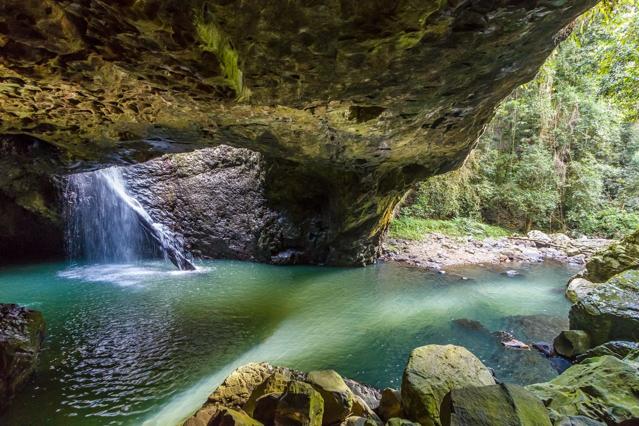 Springbrook National Park